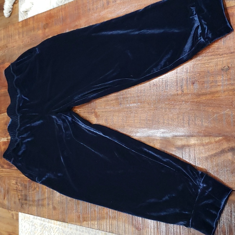 Fabletics Velour Pants